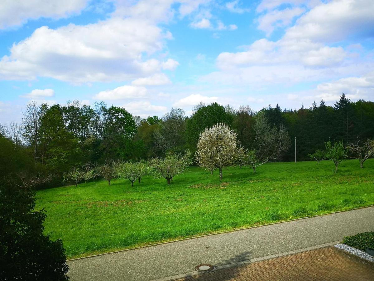 Ein Appartement Und Ein Komfortzimmer In Malsch, Zwischen Karlsruhe, Rastatt Und Baden-Baden Malsch  エクステリア 写真